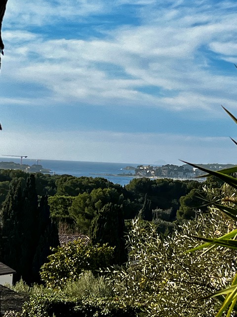 Apartment - SANARY-SUR-MER