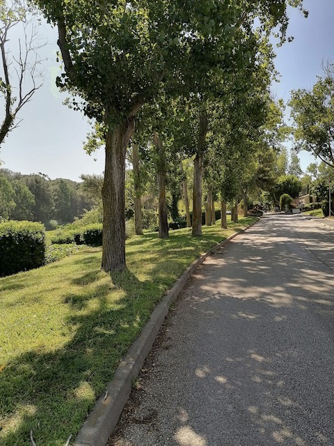 Apartment - SIX-FOURS-LES-PLAGES