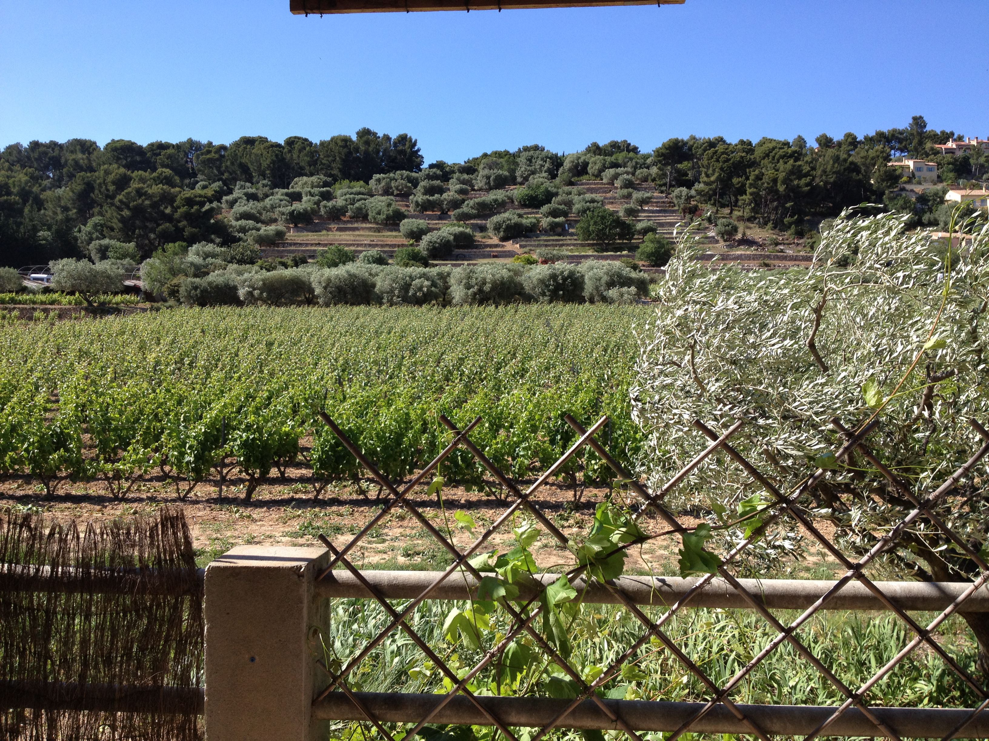 Location Appartement OLLIOULES