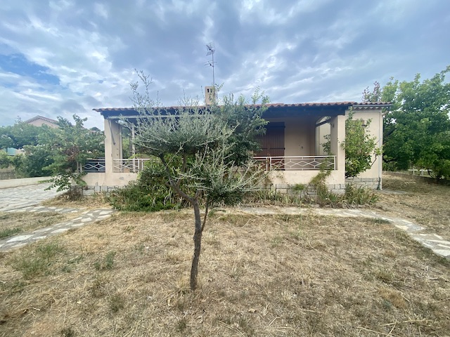 House - OLLIOULES