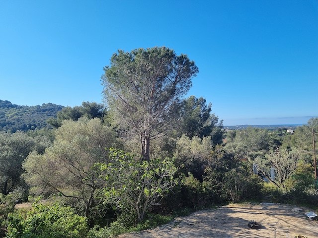 House - SIX-FOURS-LES-PLAGES