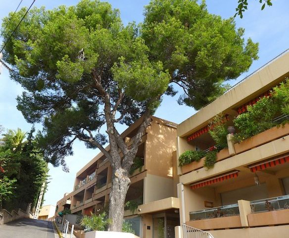 Appartement - BANDOL